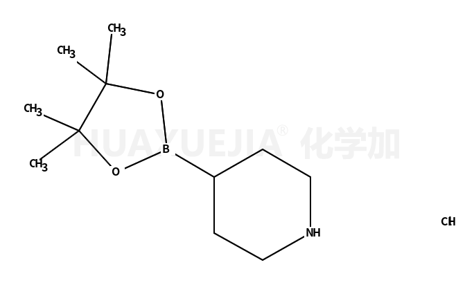 哌啶-4-硼酸频那醇酯盐酸盐