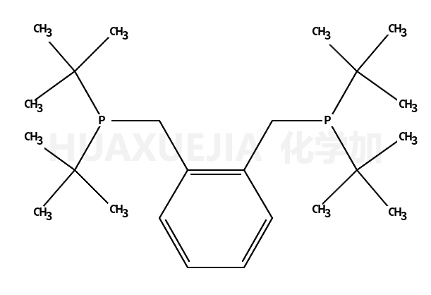 1,2-双(二叔丁基膦甲基)苯