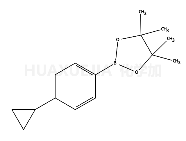 2-(4-Cyclopropylphenyl)-4,4,5,5-tetramethyl-1,3,2-dioxaborolane