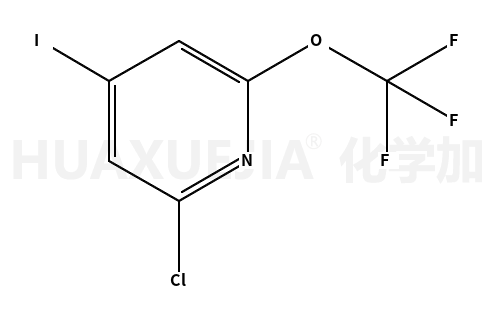 2-氯-4-碘-6-三氟甲氧基吡啶
