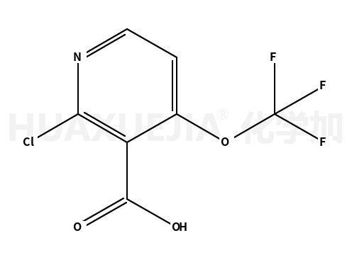2-氯-4-(三氟甲氧基)吡啶-3-羧酸