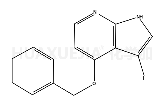 3-碘-4-苄氧基-7-氮杂吲哚