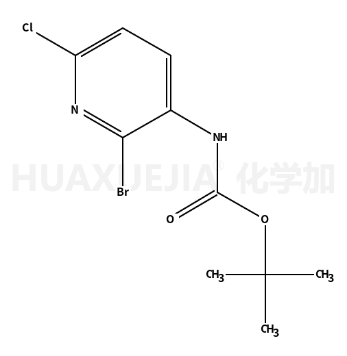 2-溴-6-氯吡啶-3-氨基甲酸叔丁酯