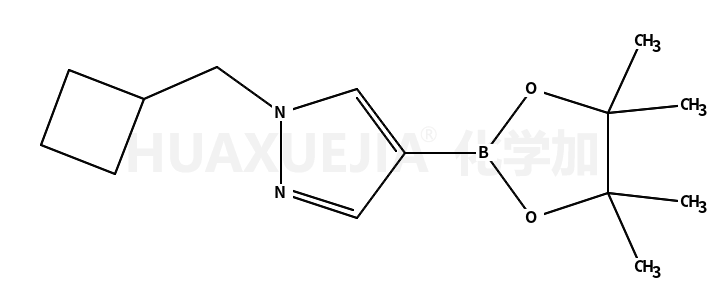 1-(cyclobutylmethyl)-4-(4,4,5,5-tetramethyl-1,3,2-dioxaborolan-2-yl)-1H-Pyrazole