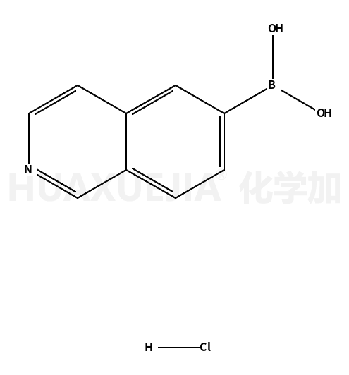 异喹啉-6-硼酸盐酸盐