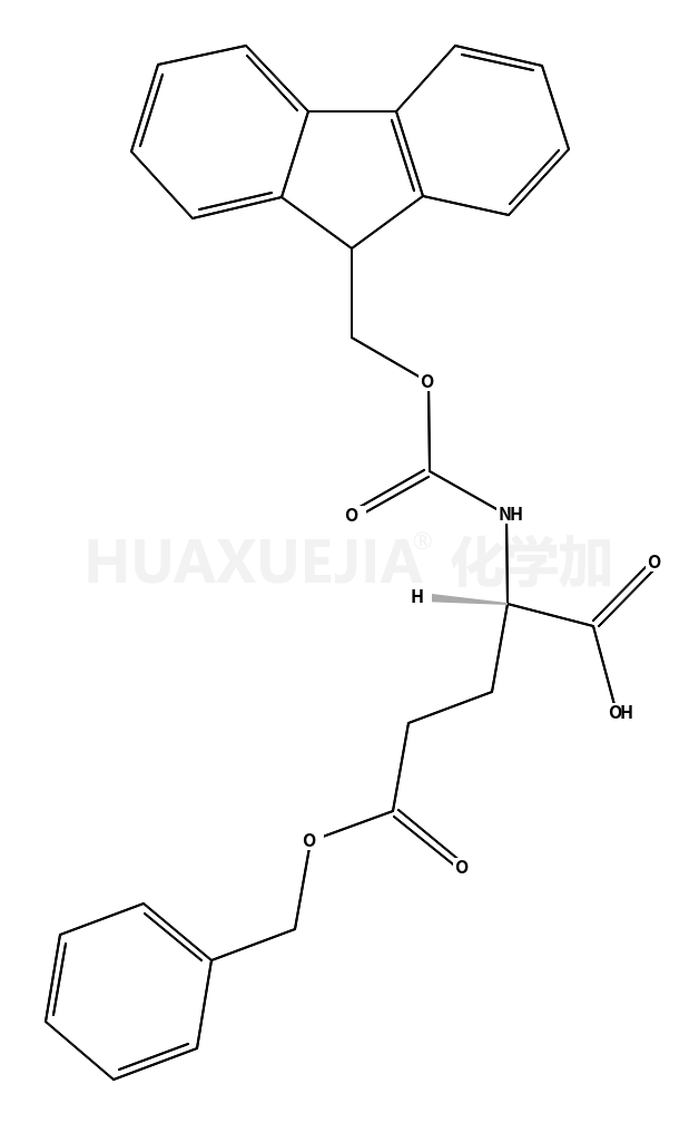 芴甲氧羰基-L-谷氨酸-Γ-苄脂