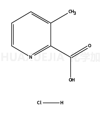 3-甲基吡啶-2-羧酸盐酸盐