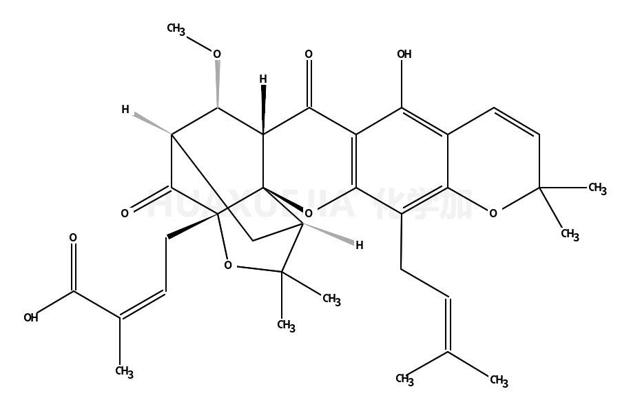 Isomoreollic acid