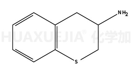 硫代苯并二氫吡喃-3-胺