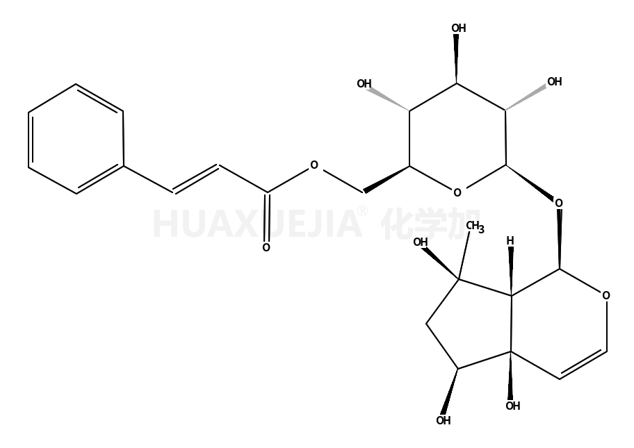 6'-O-肉桂酰基哈巴苷