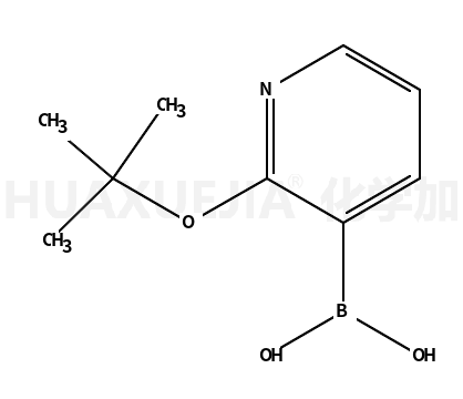 2-叔丁氧基吡啶-3-基硼酸
