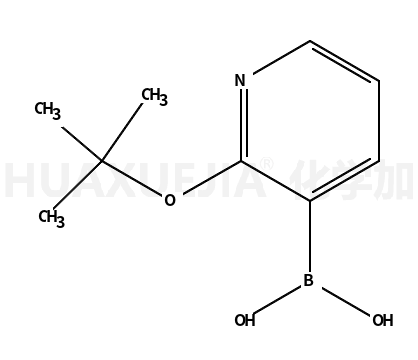 (2-(叔丁氧基)吡啶-3-基)硼酸