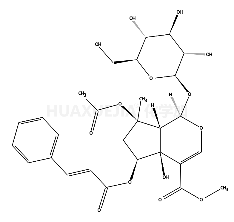 6-O-trans-Cinnamoylphlorigidoside B