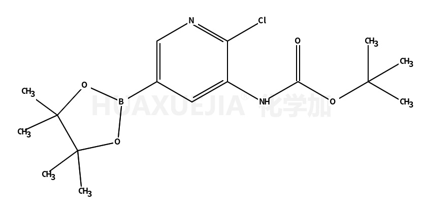 2-氯-5-(4,4,5,5-四甲基-1,3,2-二噁硼烷-2-基)吡啶-3-氨基甲酸叔丁酯