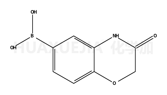 (3-氧代-3,4-二氢-2H-苯并[b][1,4]噁嗪-6-基)硼酸
