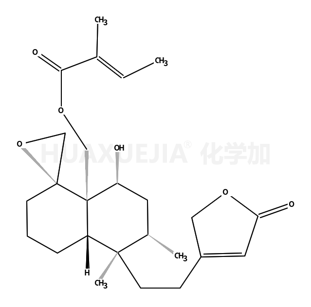 筋骨草素L2