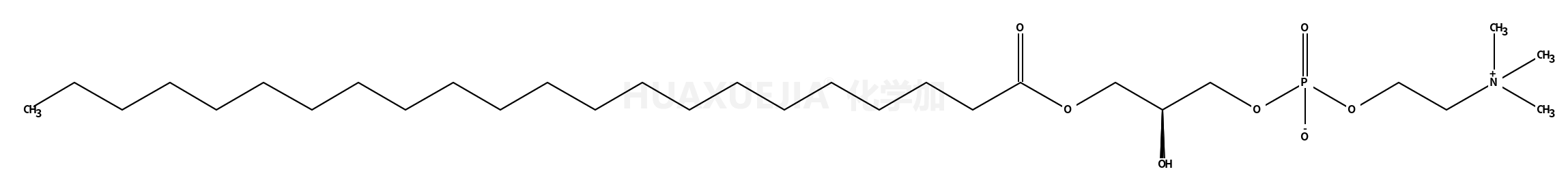 1-behenoyl-sn-glycero-3-phosphocholine