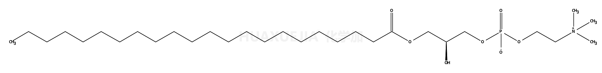 1-behenoyl-2-hydroxy-sn-glycero-3-phosphocholine