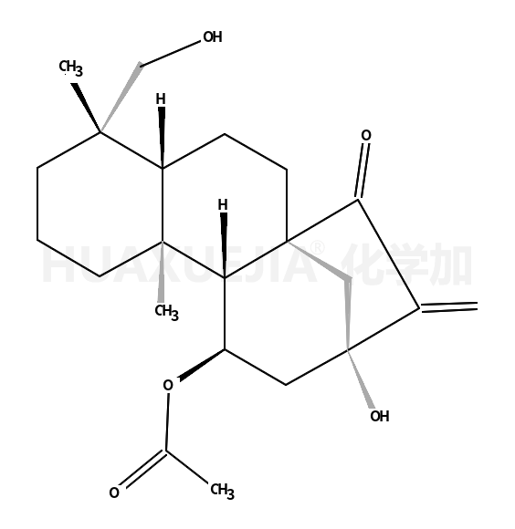 叶含乙酰瘿花香茶菜素 A