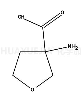 3-氨基四氢呋喃-3-羧酸