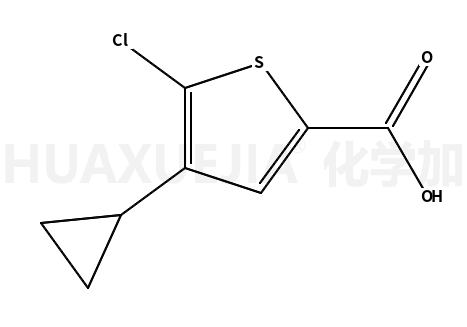 5-chloro-4-cyclopropylthiophene-2-carboxylic acid