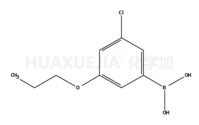3-氯-5-丙氧基苯硼酸