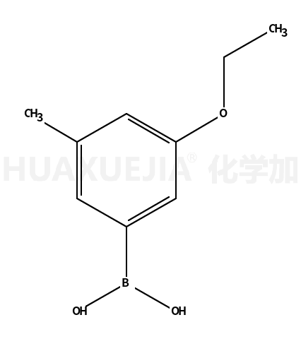 3-乙氧基-5-甲基苯硼酸