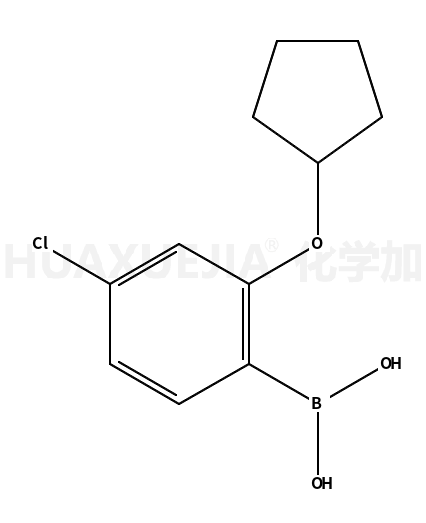 4-氯-2-(环戊基氧基)苯硼酸