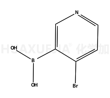 4-溴吡啶-3-硼酸