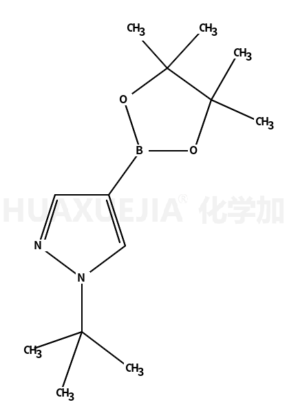 1-(叔丁基)-4-(4,4,5,5-四甲基-1,3,2-二氧硼杂环戊烷-2-基)吡唑