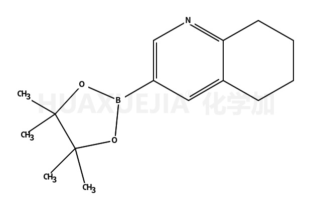 5678-四氢喹啉-3-硼酸频那醇酯