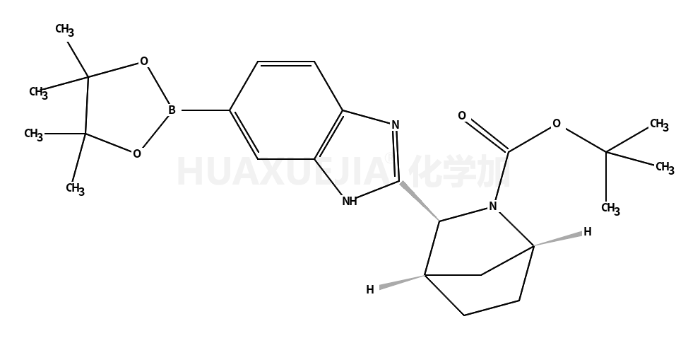 (1R,3S,4S)-3-[6-(4,4,5,5-四甲基-1,3,2-二氧雜環(huán)戊硼烷-2-基)-1H-苯并咪唑-2-基]-2-氮雜雙環(huán)[2.2.1]庚烷-2-羧酸叔丁酯