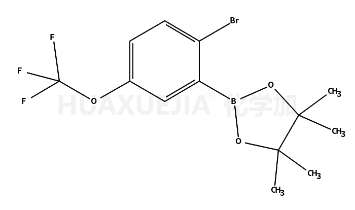 2-(2-溴-5-(三氟甲氧基)苯基)-4,4,5,5-四甲基-1,3,2-二噁硼烷