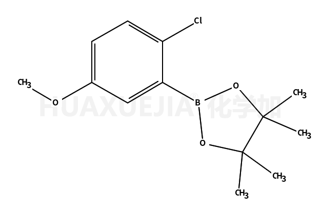 2-(2-氯-5-甲氧基苯基)-4,4,5,5-四甲基-1,3,2-二噁硼烷