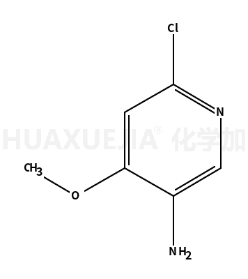 6-氯-4-甲氧基-3-吡啶胺