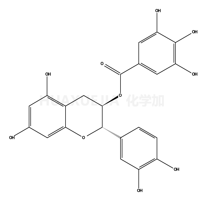 表儿茶素没食子酸酯