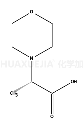 (R)-2-吗啉-4-基-丙酸