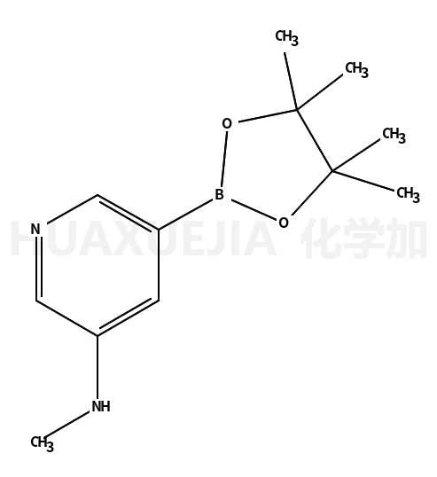 N-甲基-5-(4,4,5,5-四甲基-1,3,2-二噁硼烷-2-基)吡啶-3-胺