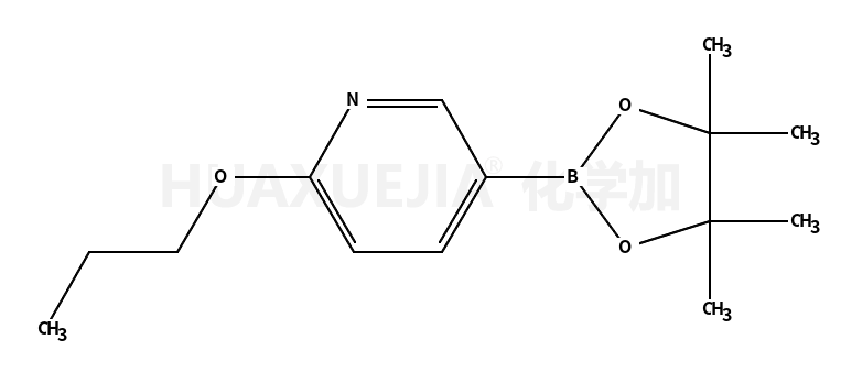2-丙氧基-5-吡啶硼酸酯