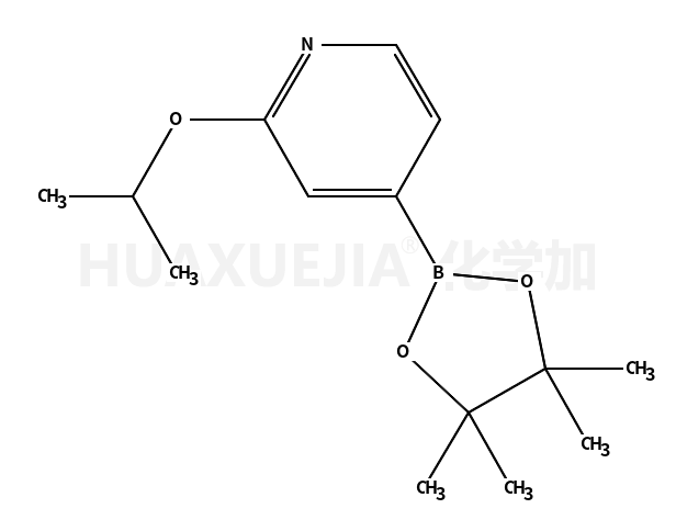 2-异丙氧基-4-(4,4,5,5-四甲基-[1,3,2]二噁硼烷-2-基)吡啶