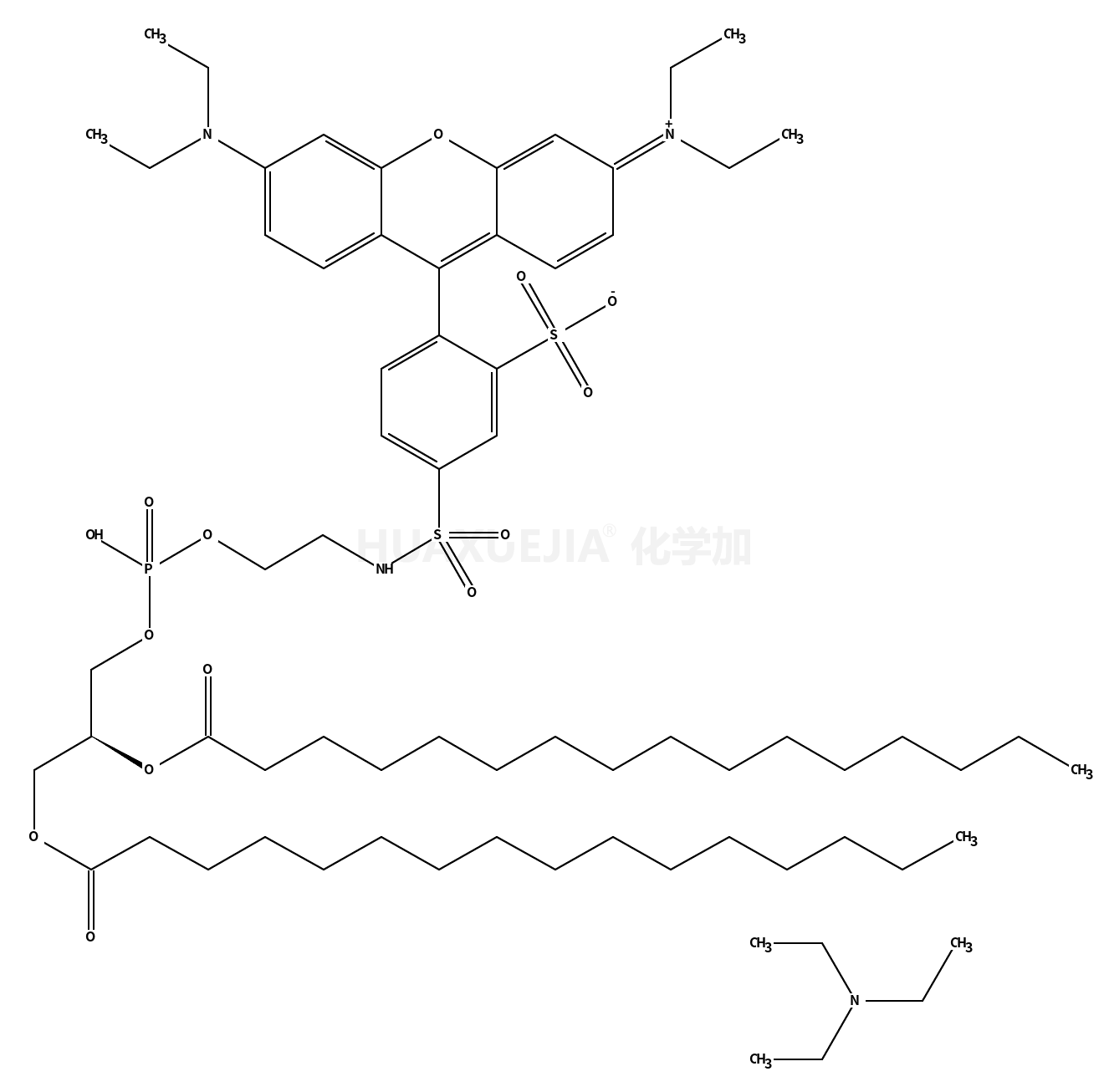 罗丹明 DHPE