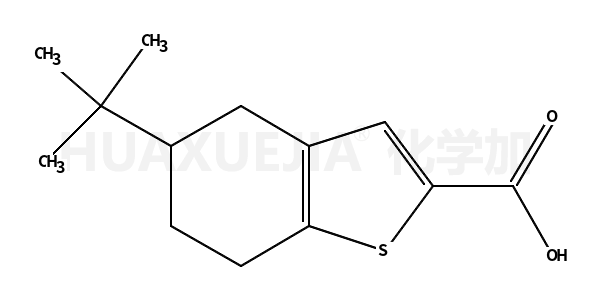 5-叔丁基-4,5,6,7-四氢-1-苯并噻吩-2-羧酸