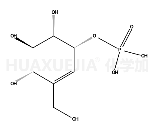 Vallenol 1-Phosphate