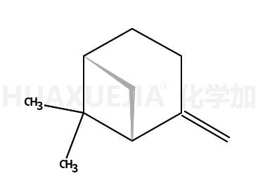 β-蒎烯