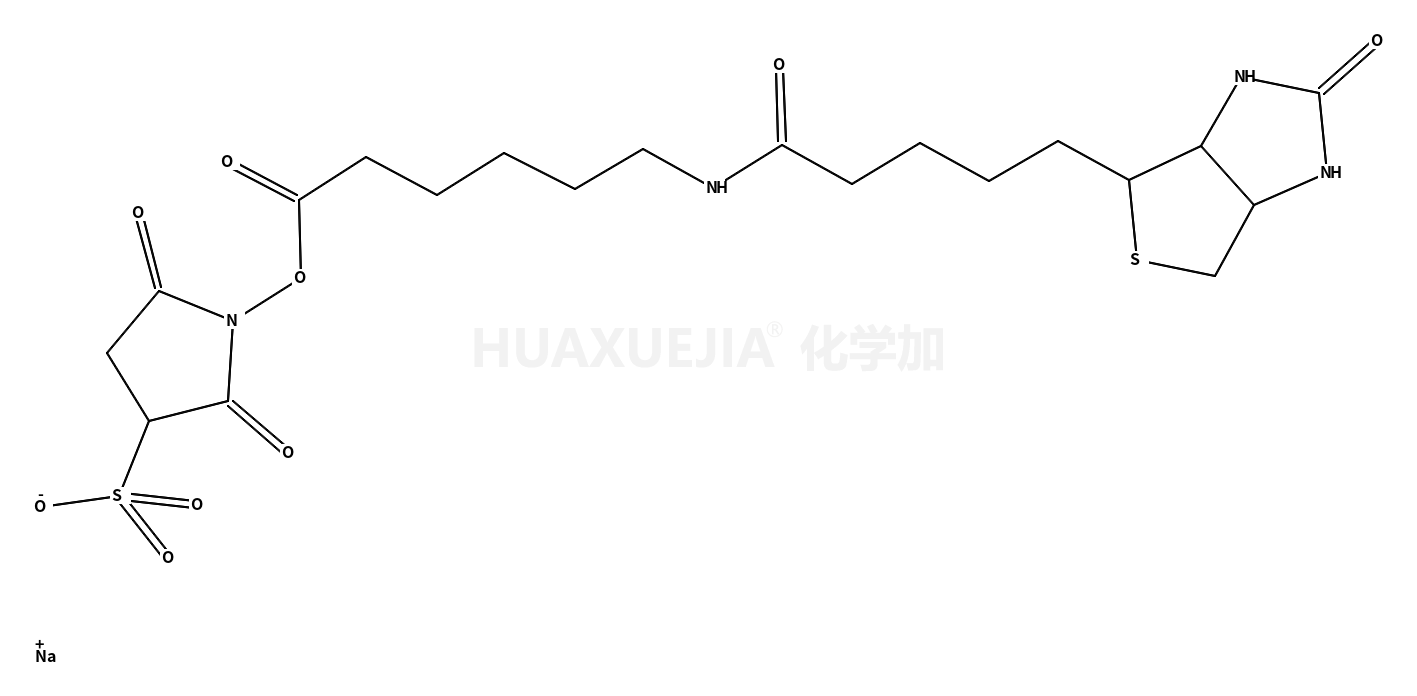 生物素酰氨基己酸-3-磺酸基-N-羟基琥珀酰亚胺酯