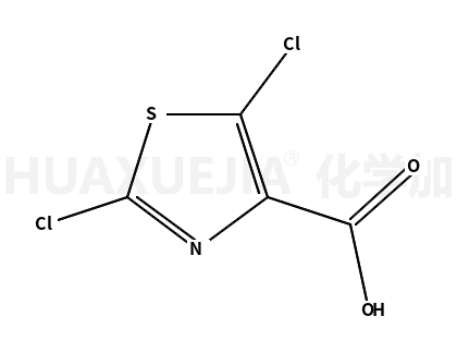 2,5-二氯噻唑-4-羧酸