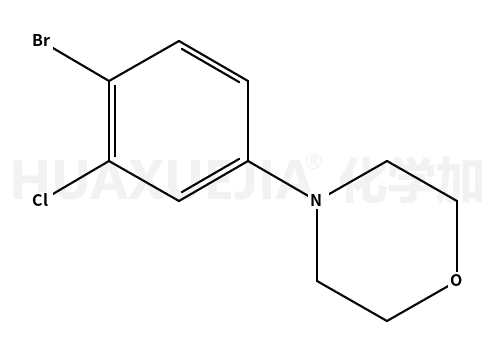 4-(4-溴-3-氯苯基)吗啉