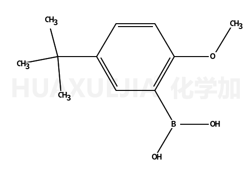 5-叔丁基-2-甲氧基苯硼酸