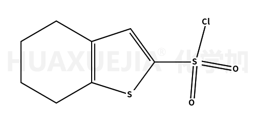 4,5,6,7-四氢苯并[B]噻吩-2-磺酰氯