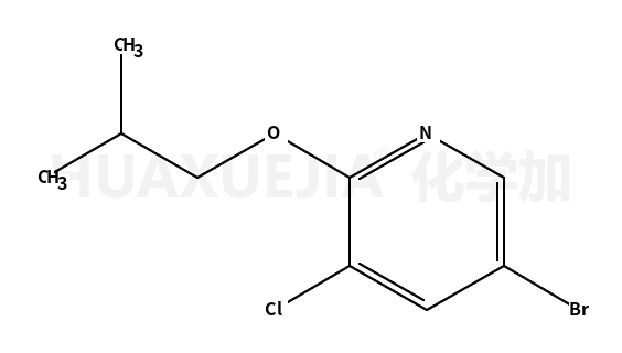 5-溴-3-氯-2-异丁氧基吡啶